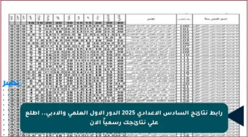 رابط نتائج السادس الإعدادي 2025 الدور الأول العلمي والأدبي.. اطلع على نتائجك رسمياً الآن